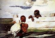 Winslow Homer Turtles captured in painting